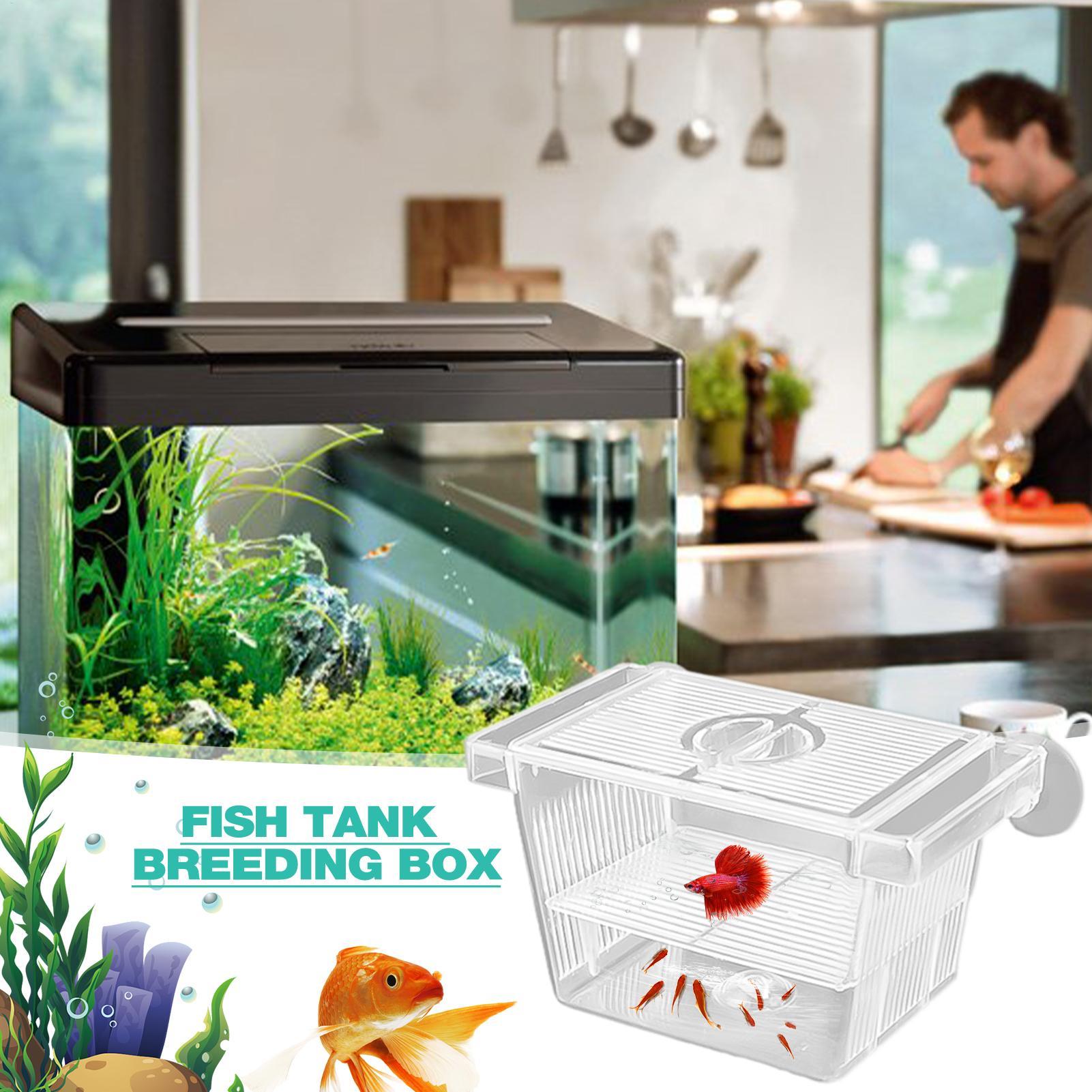 Aquarium-Brutkasten aus Acryl, – Aquarium Fish Jar Bewertung und Preis