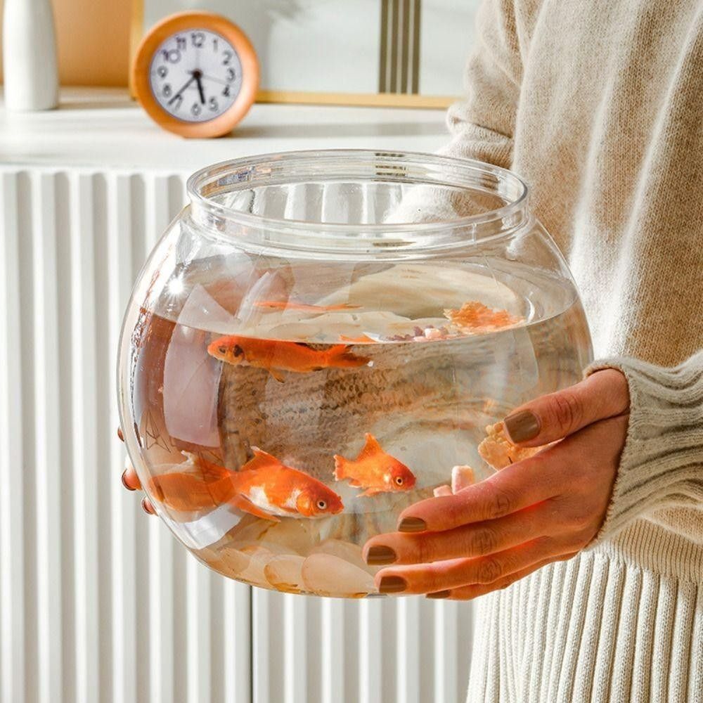 Neues transparentes Aquarium,  – Aquarium Fish Jar Bewertung und Preis