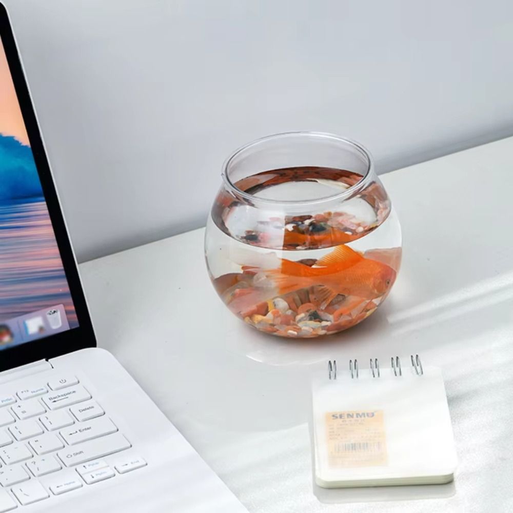 Neues transparentes Aquarium,  – Aquarium Fish Jar Bewertung und Preis