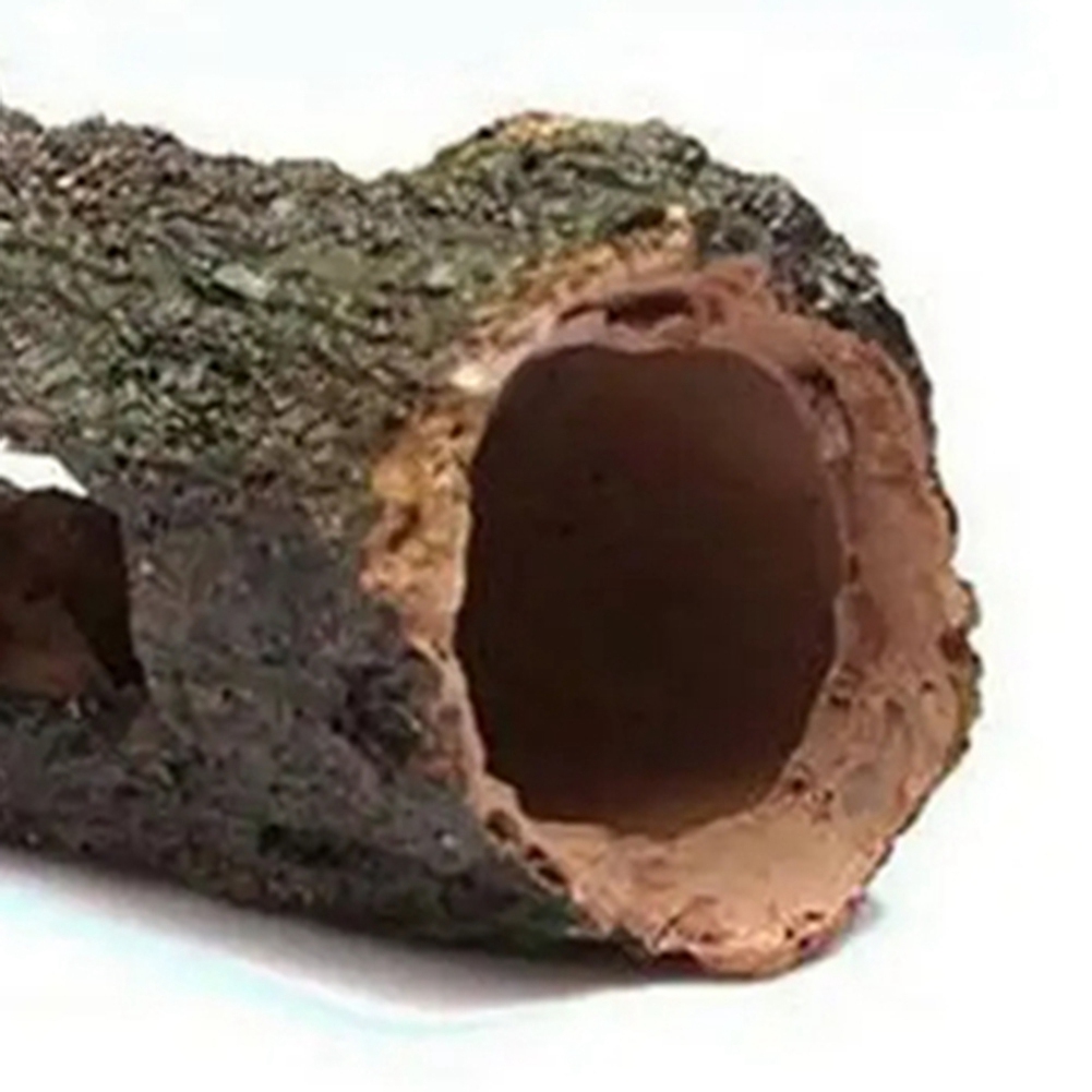 B03C-Aquarium Hohler Baum Fisc – Aquarium Fish Cave Bewertung und Preis