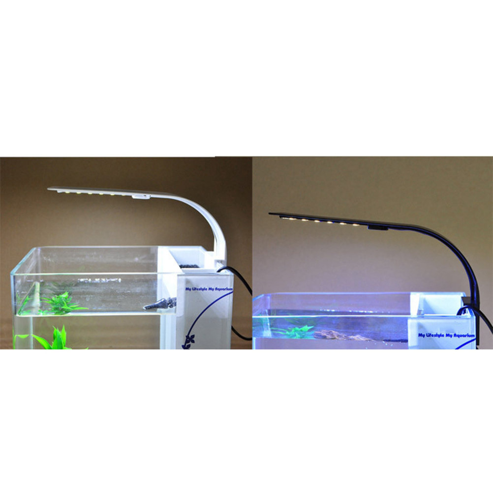 LED-Aquariumbeleuchtung für Fi – Aquarium Fish With Long Lifespan Bewertung und Preis