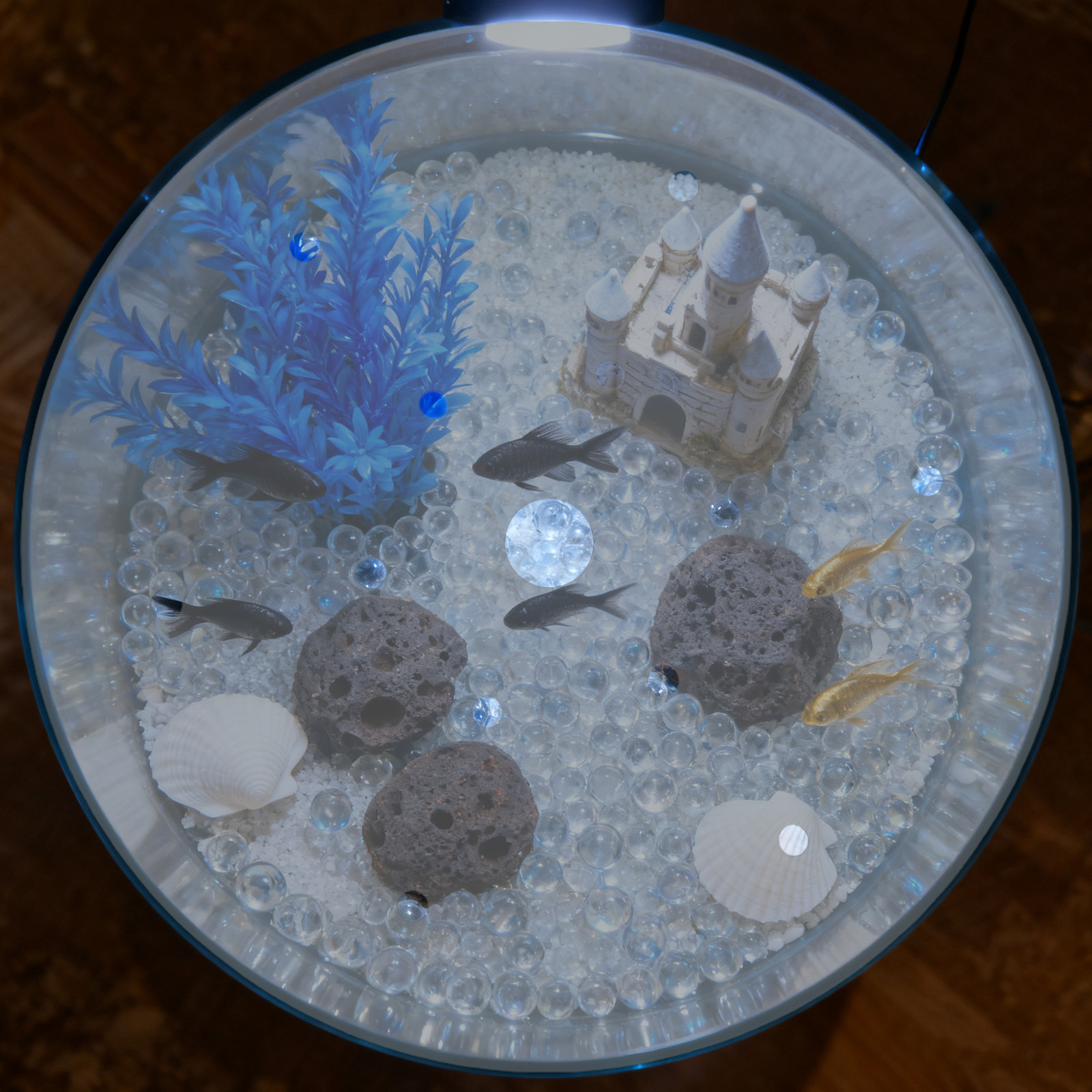 7 Zoll Runde Acryl-Aquariumabd – Aquarium Fish Jar Bewertung und Preis